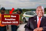 South Africa Confirms New 2025 Seatbelt Law: R500 Fine to Apply for All Vehicle Occupants From December